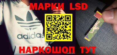 apvp Камышлов