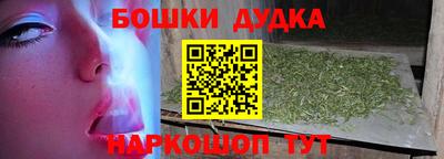 apvp Камышлов