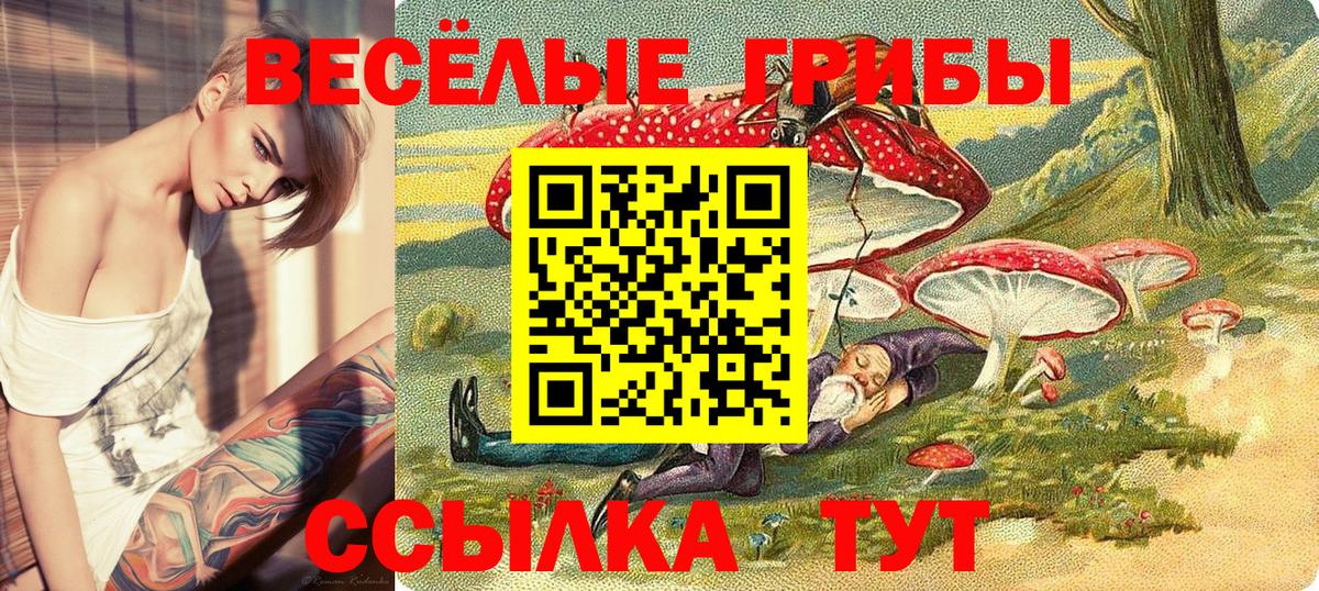 Псилоцибиновые грибы мухоморы  Вход с VPN  Галлюциногенные грибы GOLDEN TEACHER  Майский 